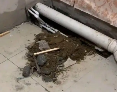 贵港市卫生间漏水检测哪家好