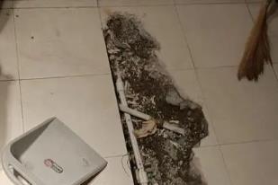 贵港市卫生间漏水检测电话